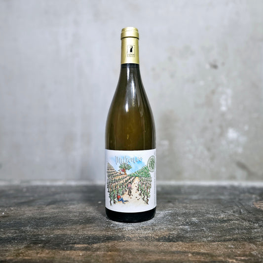Domaine Rousset - Crozes-Hermitage Blanc, Northern Rhône, France (2023)