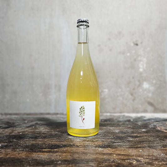 Revel "Breccia" Perry (Pear Cider)